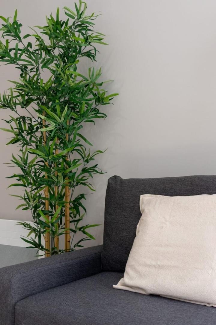 Hypercentre -Apartment In Pedestrian Zone Лилль Экстерьер фото